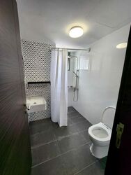 Cassia View (D14), Apartment #463124361